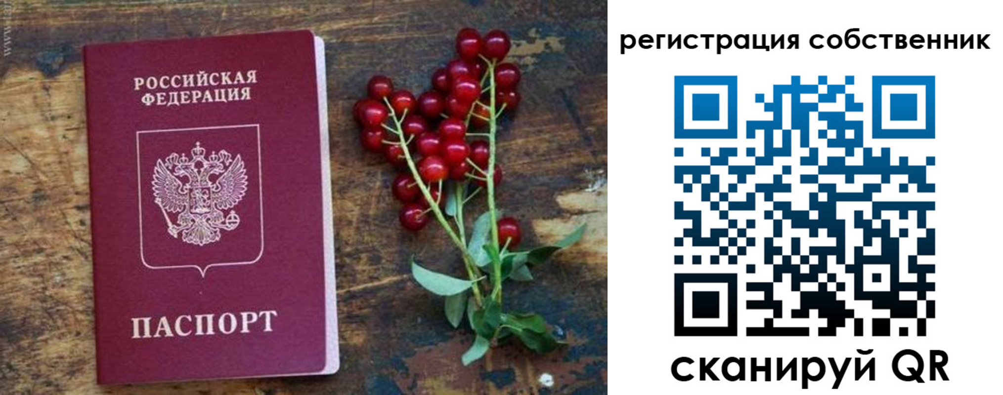 регистрация для дет. сада в Белореченске